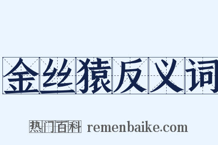 金丝猿反义词是什么意思的图片